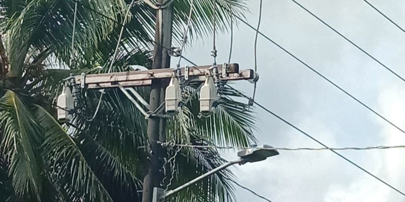 Tripsaver II recloser helping PUC prevent nuisance outages caused by common problems, such as vegetation overgrowth